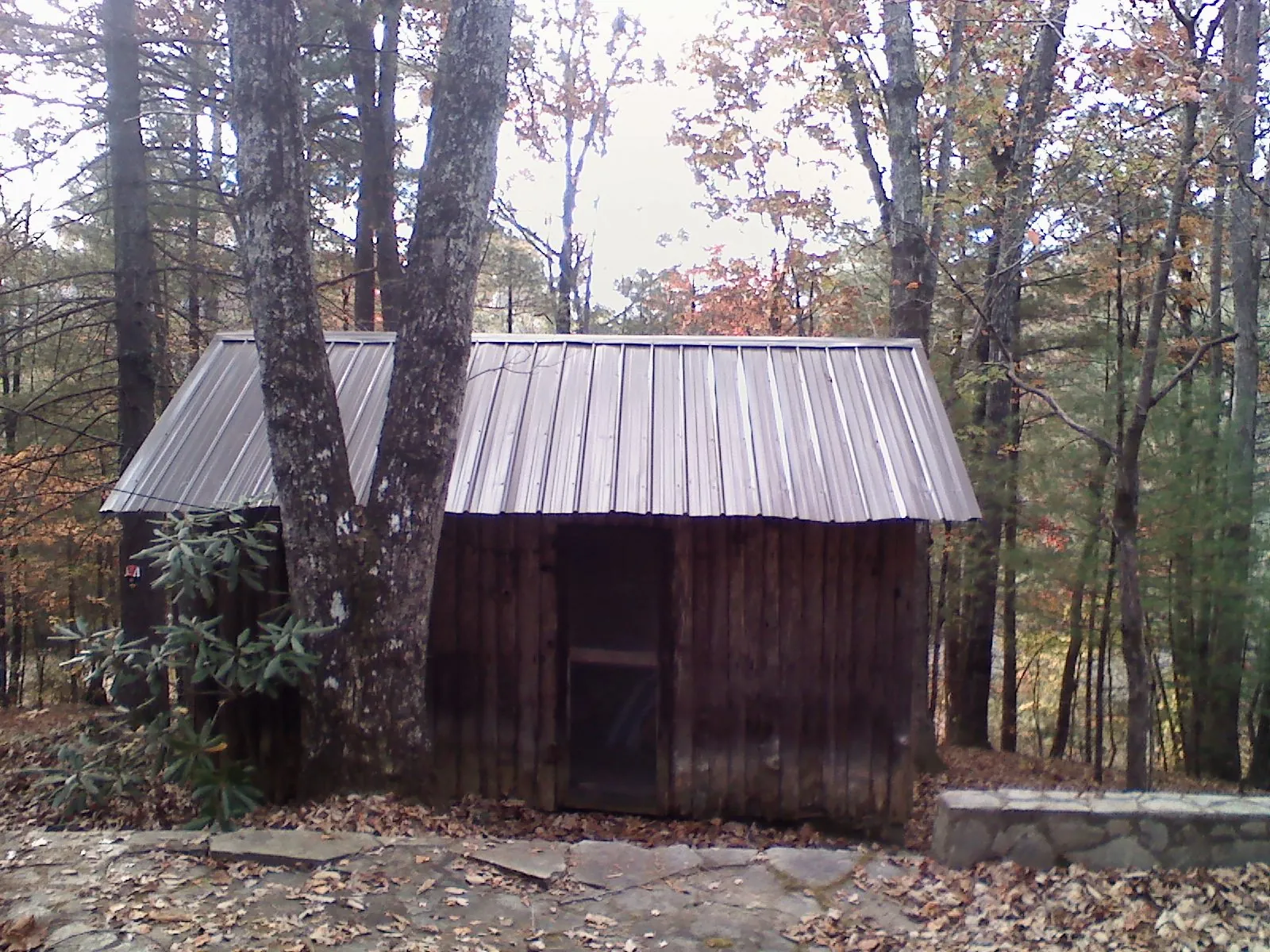 New metal gable roof on a small log shed among the trees in Mayport