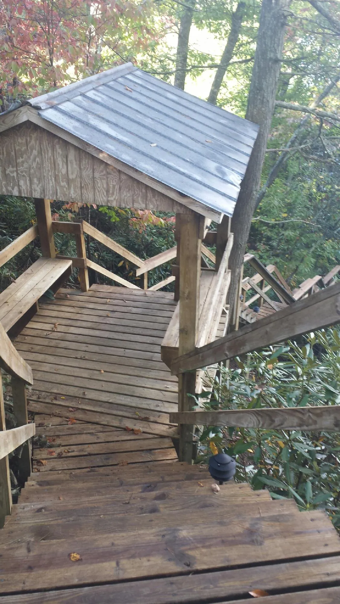 Metal roofed shelter over wooden steps on a wooded walkway — Skylight Repair & Installation work by our crew in Mayport
